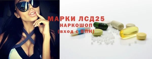 дурь Бородино