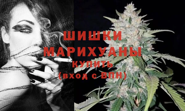 ПСИЛОЦИБИНОВЫЕ ГРИБЫ Верхний Тагил