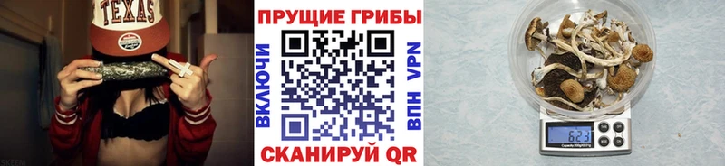 Купить где  Лермонтов  Галлюциногенные грибы GOLDEN TEACHER 
