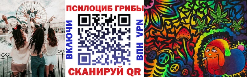Псилоцибиновые грибы Psilocybe Лермонтов